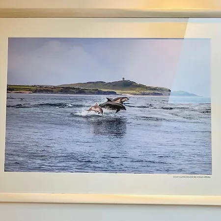 The Blue Door ليتيركيني