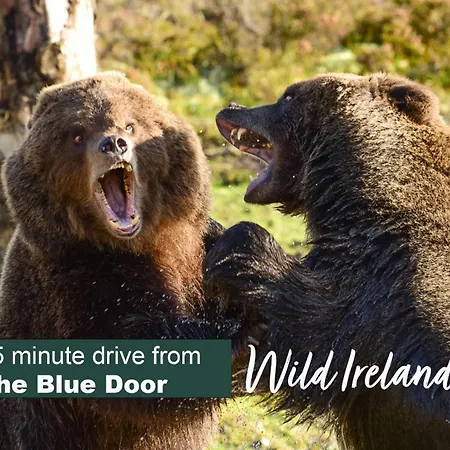 The Blue Door Letterkenny