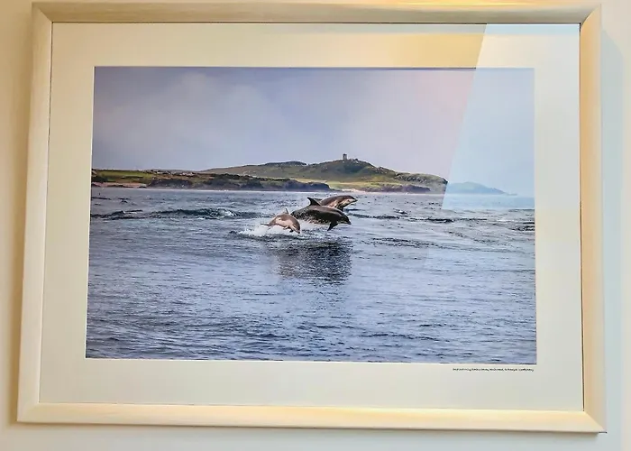 The Blue Door 레터케니