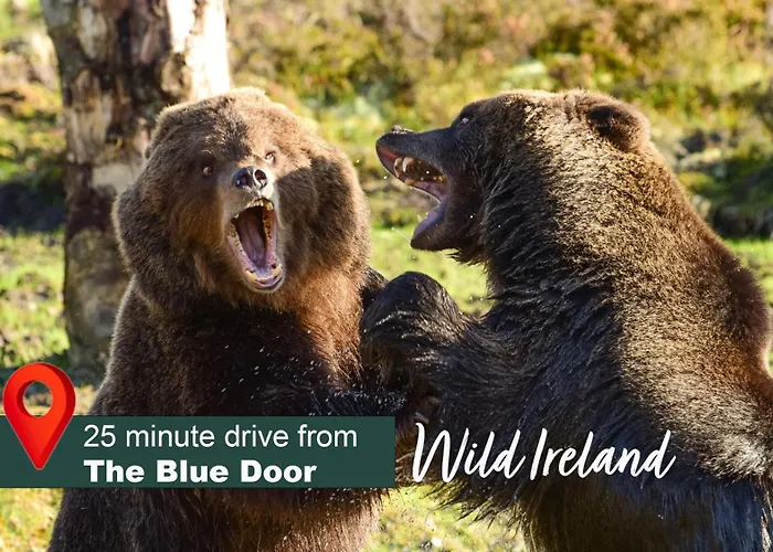 The Blue Door 레터케니